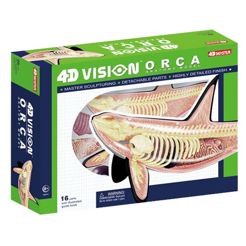Medical Lab Scientist - 4D Vision Orca Whale Skeleton Anatomy