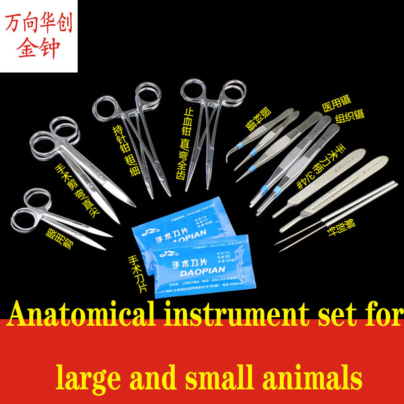 Golden Bell planing เครื่องมือ - Medical Lab Units บทวิจารณ์และราคา