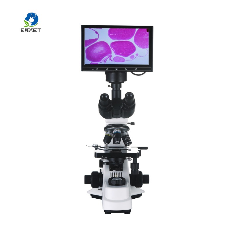 กล้องจุลทรรศน์ชีวภาพดิจิทัลสำห - Medical Lab Scientist บทวิจารณ์และราคา