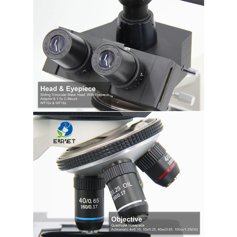 กล้องจุลทรรศน์ชีวภาพดิจิทัลสำห - Medical Lab Scientist บทวิจารณ์และราคา